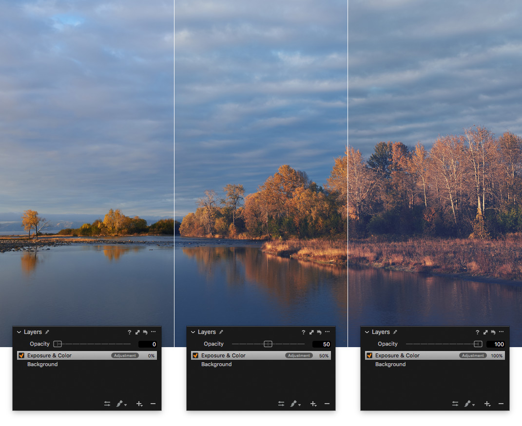 RNI ALL FILMS 4 вЂ“ LITE Film styles 4.1 for Capture One Pro (Win macOS)